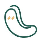 nutshell